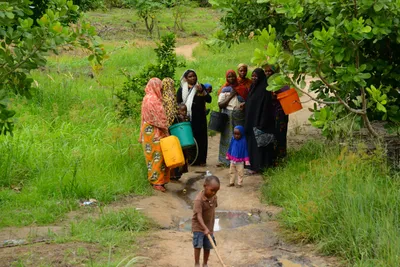 DSC_9585 (Large).JPG